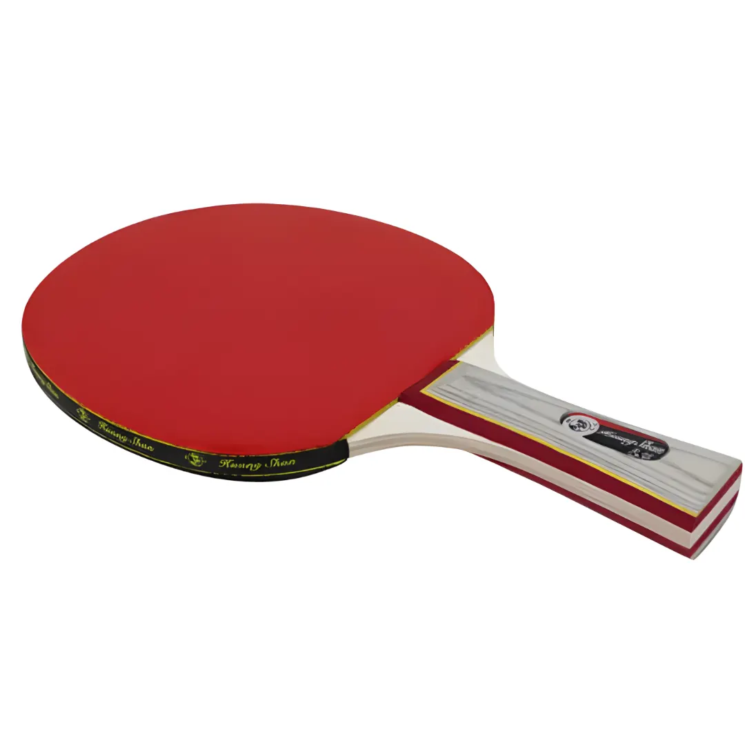 Skolens bordtennisbat