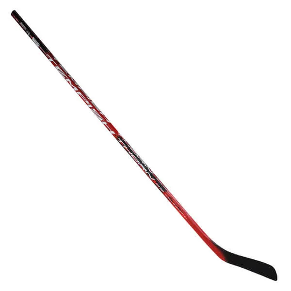 Ishockey stav