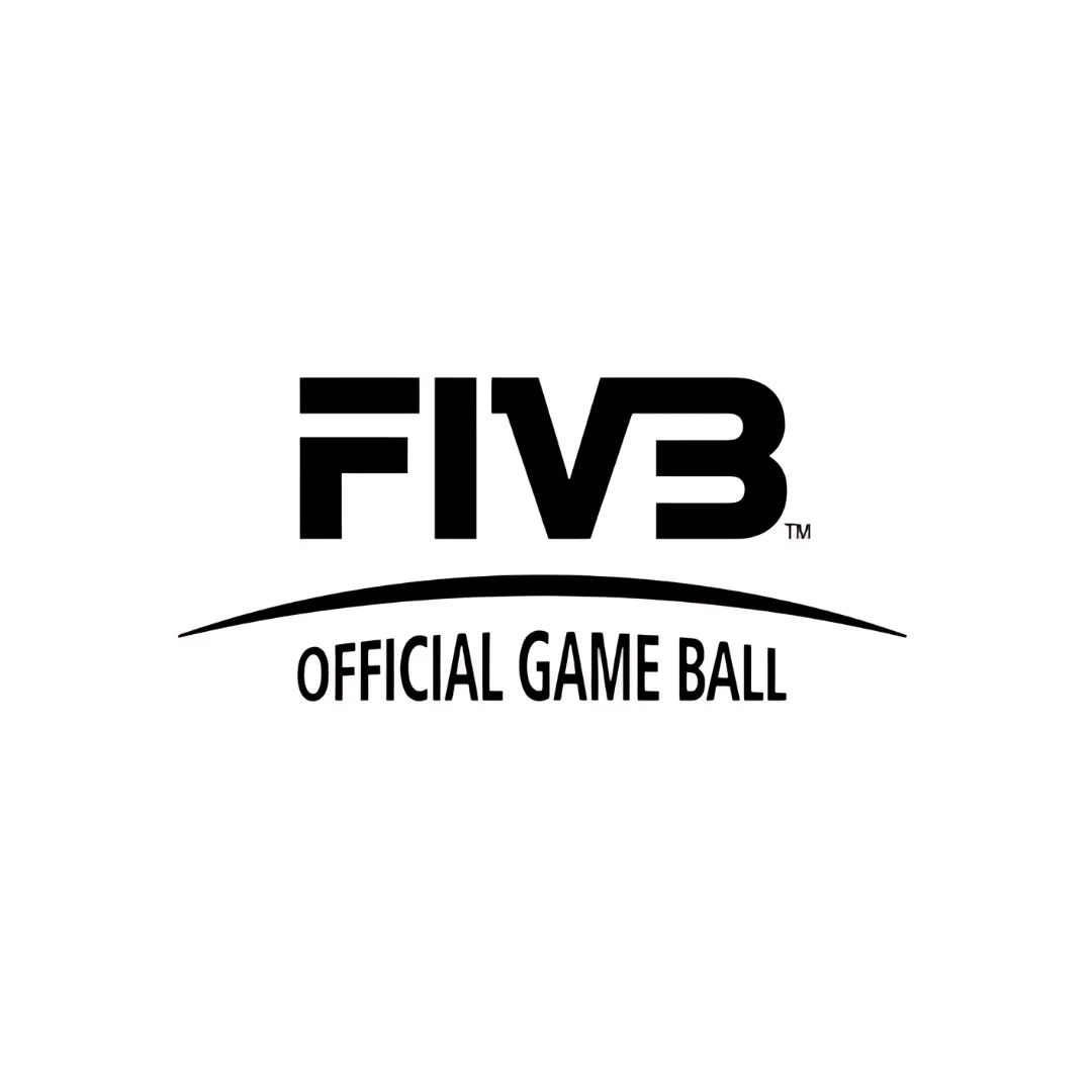 Mikasa beachvolley BV550C