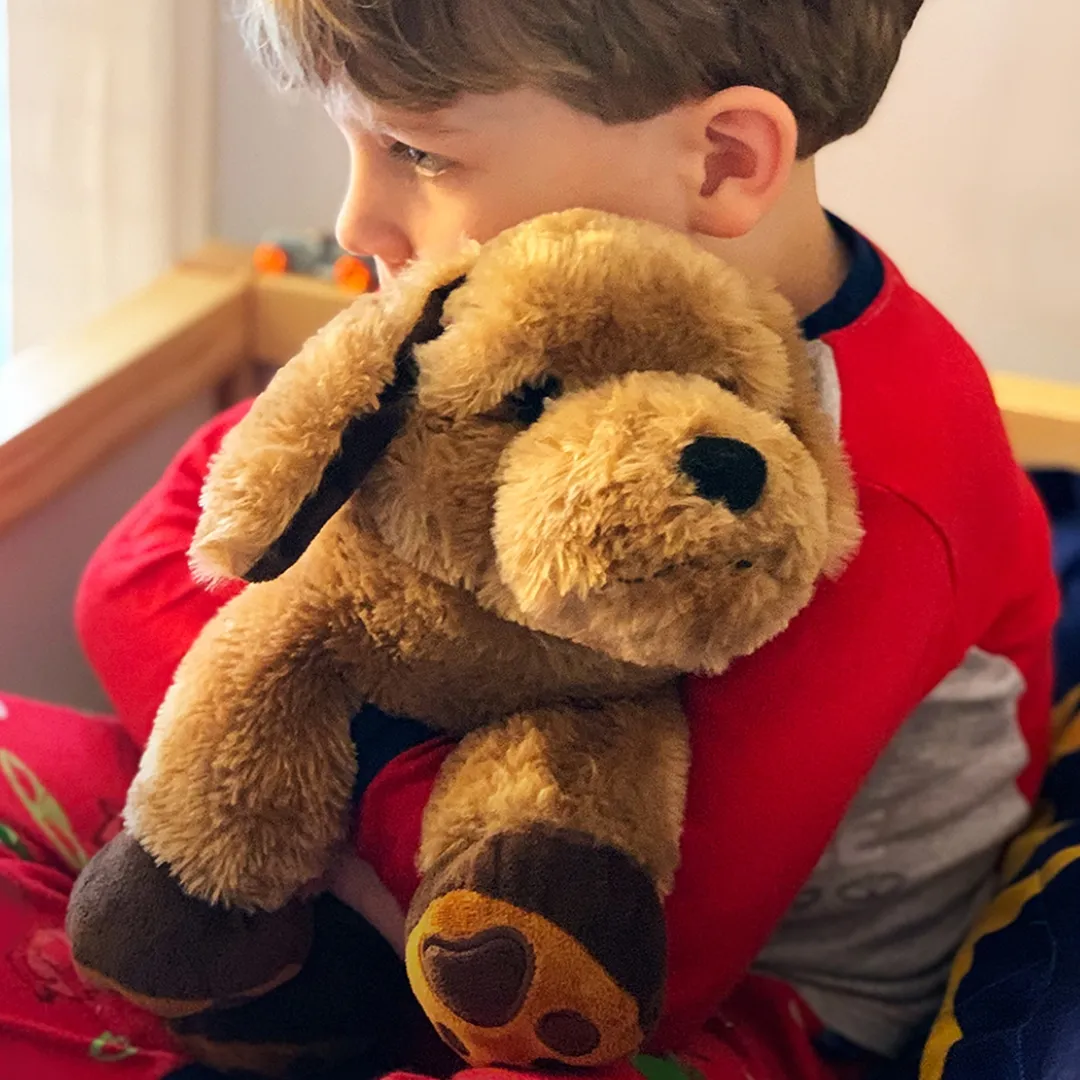 Terapi bamse hund