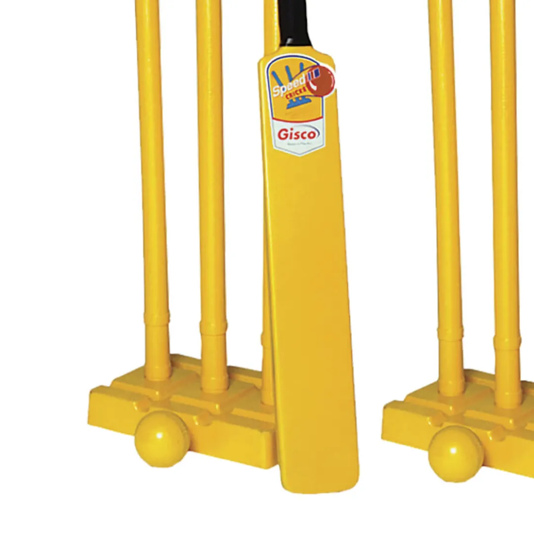 Cricket set