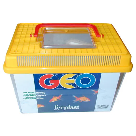 Akvarie med låg 6 liter