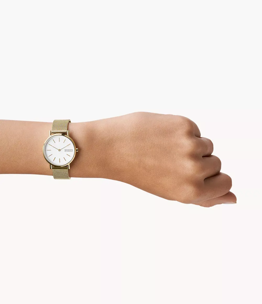 Skagen Ur Signatur SKW2693