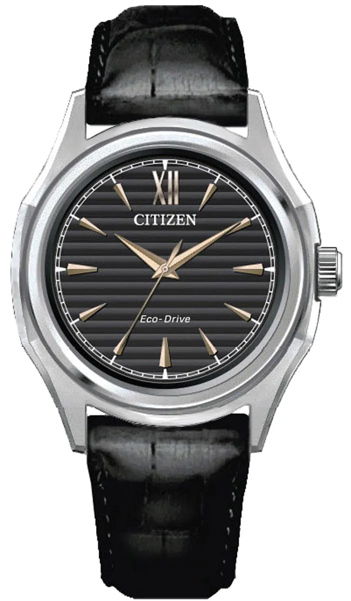 Citizen Eco-Drive  FE2110-14E