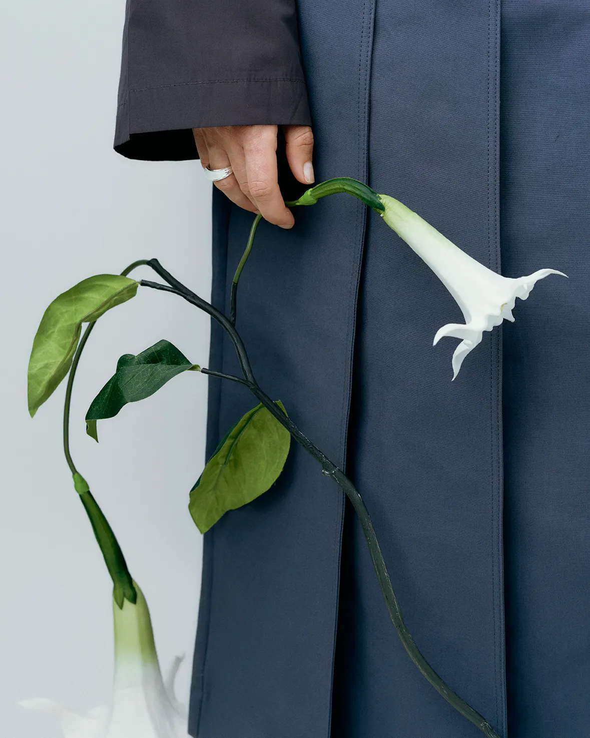 RAGBAG Datura Ring 11049-SS