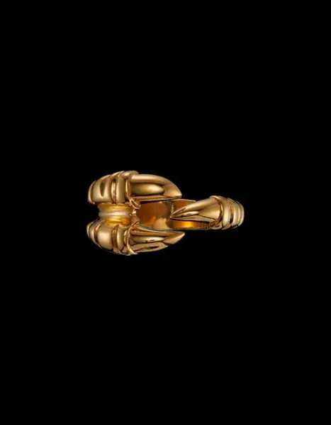 Maria Nilsdotter Claw Ring DC-04-RIC-00
