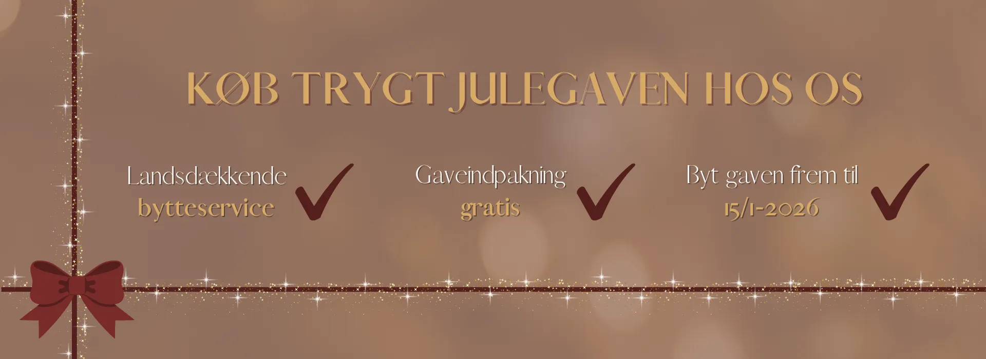 BT  bannere 2025  (6)