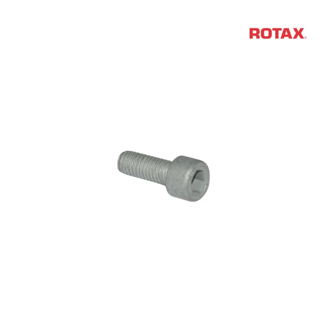 UNBRAKOBOLT TIL KOBLING DD2 M6X16 DIN 912
