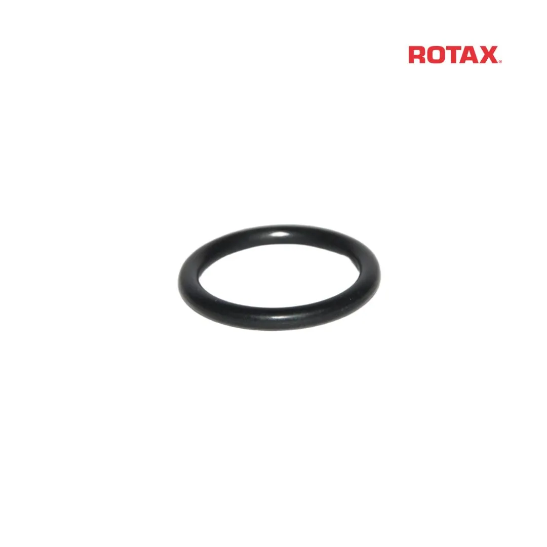 O-RING POWER VALVE 15,9-2,3