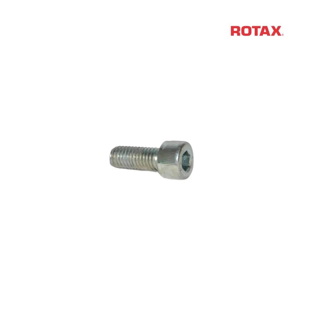 UNBRAKOSKRUE ISO 4762 - M8