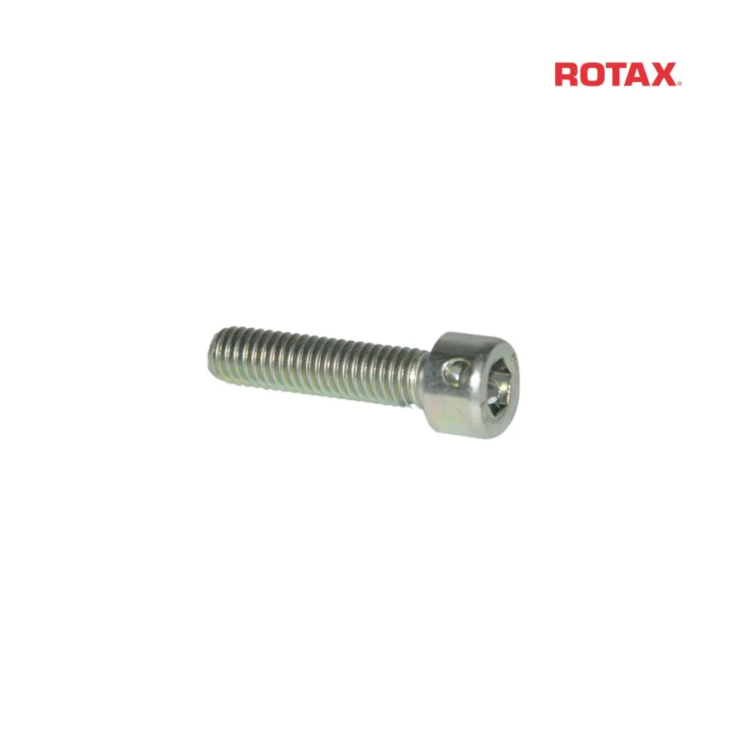 Unbrakobolt M6X25 m/hul til plombering
