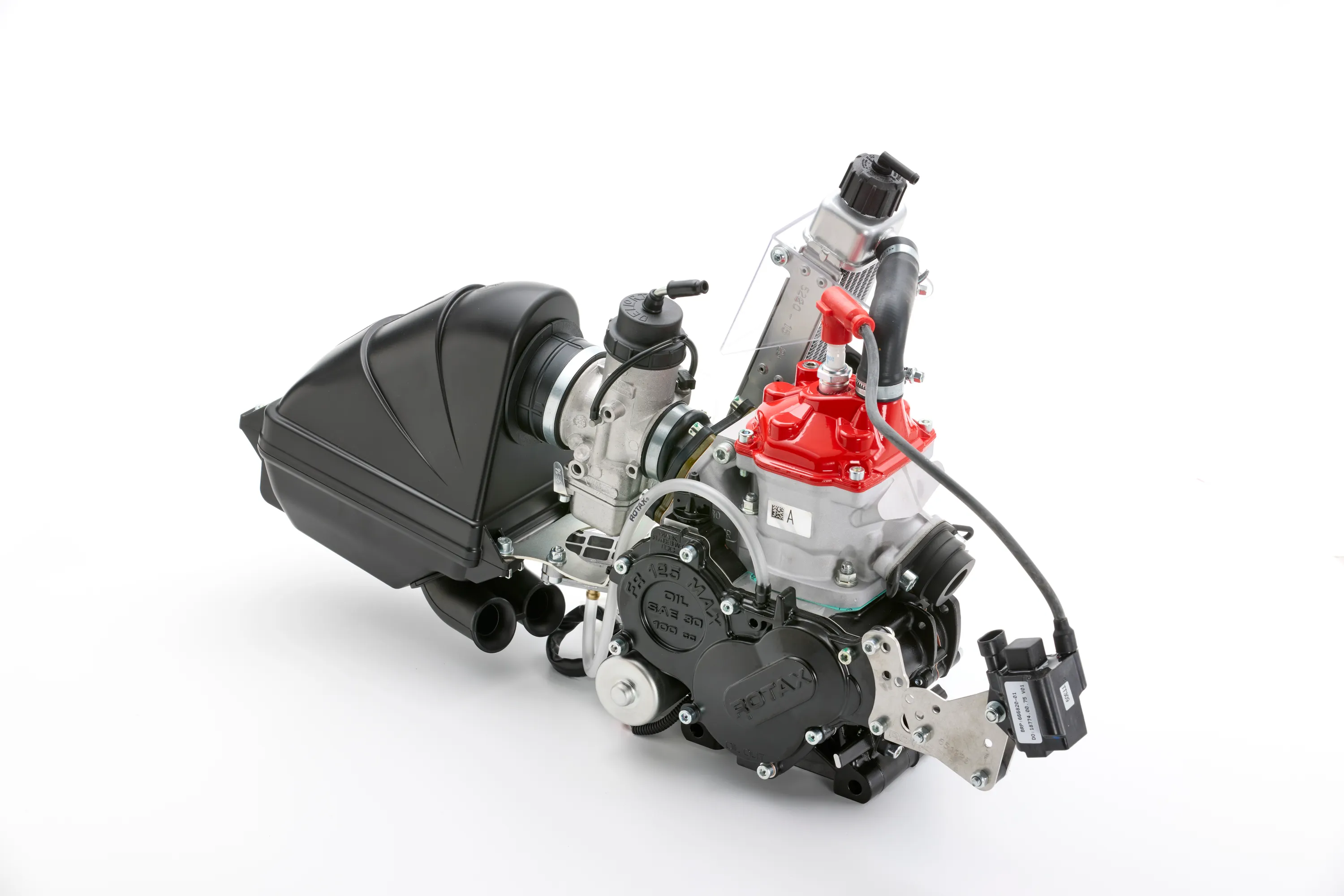 125 MINI MAX EVO MY20