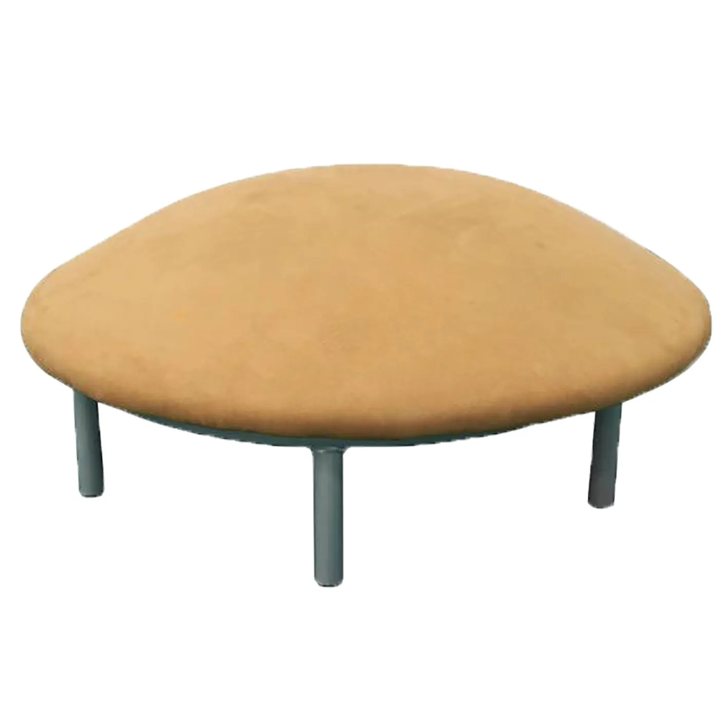 TaiShan Mushroom