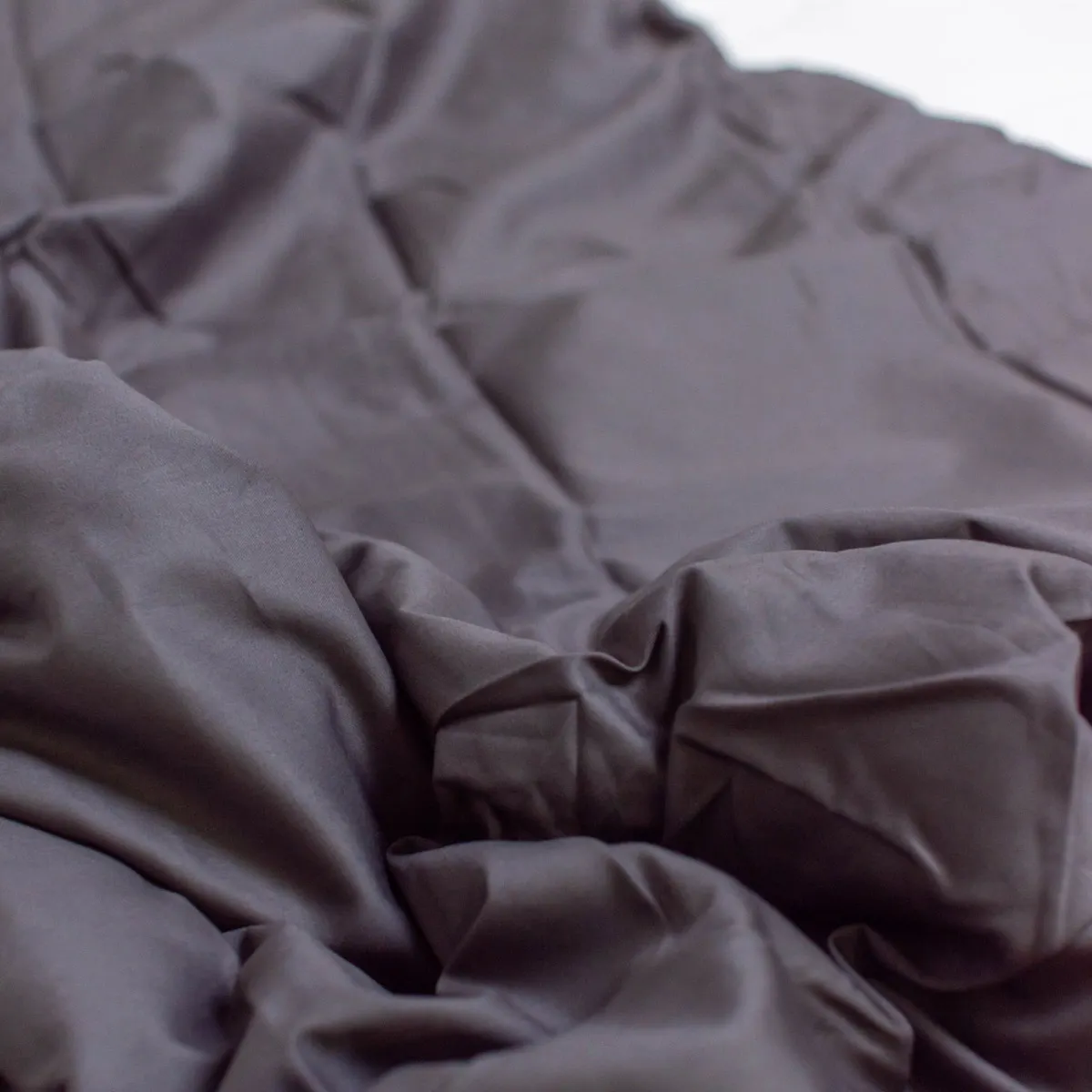 Polar Night pussilakana