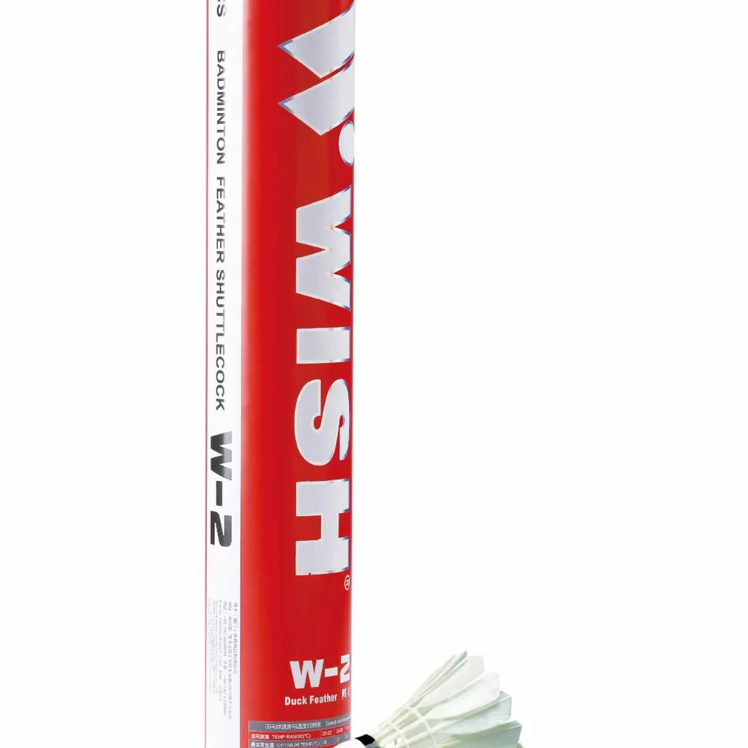 Wish W-2