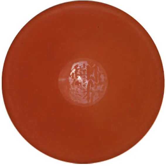 Diskus, super soft 270 g.