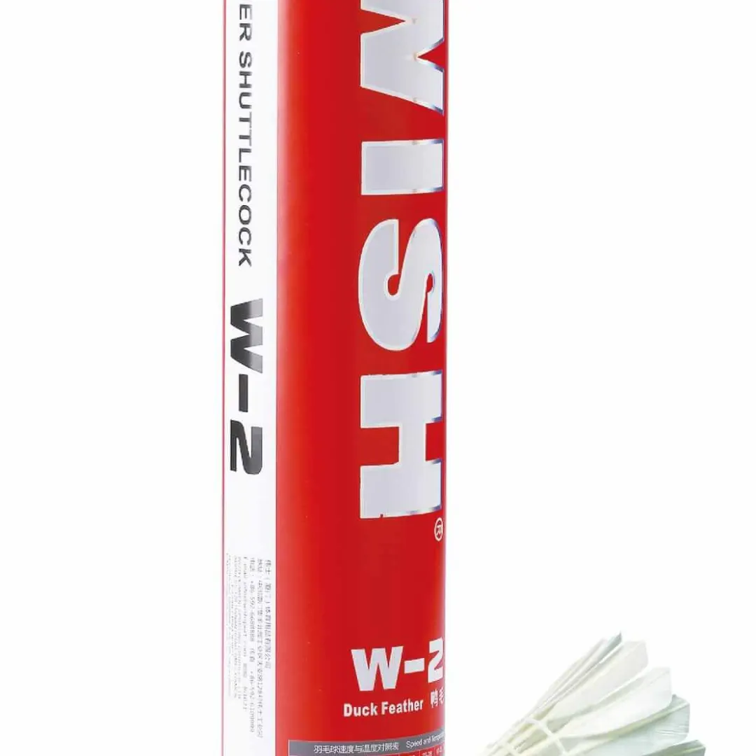 Wish W-2