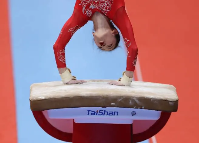 Taishan FIG springbord