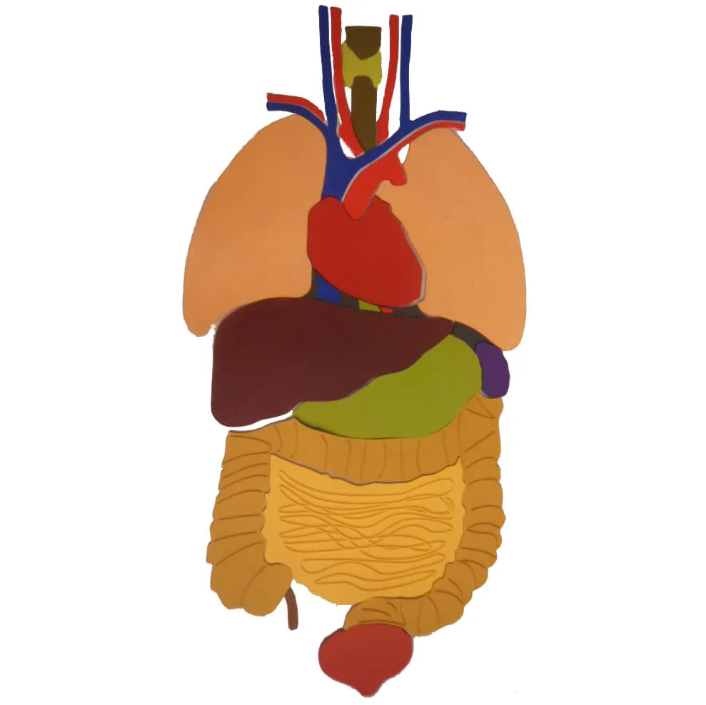 Organ puslespil