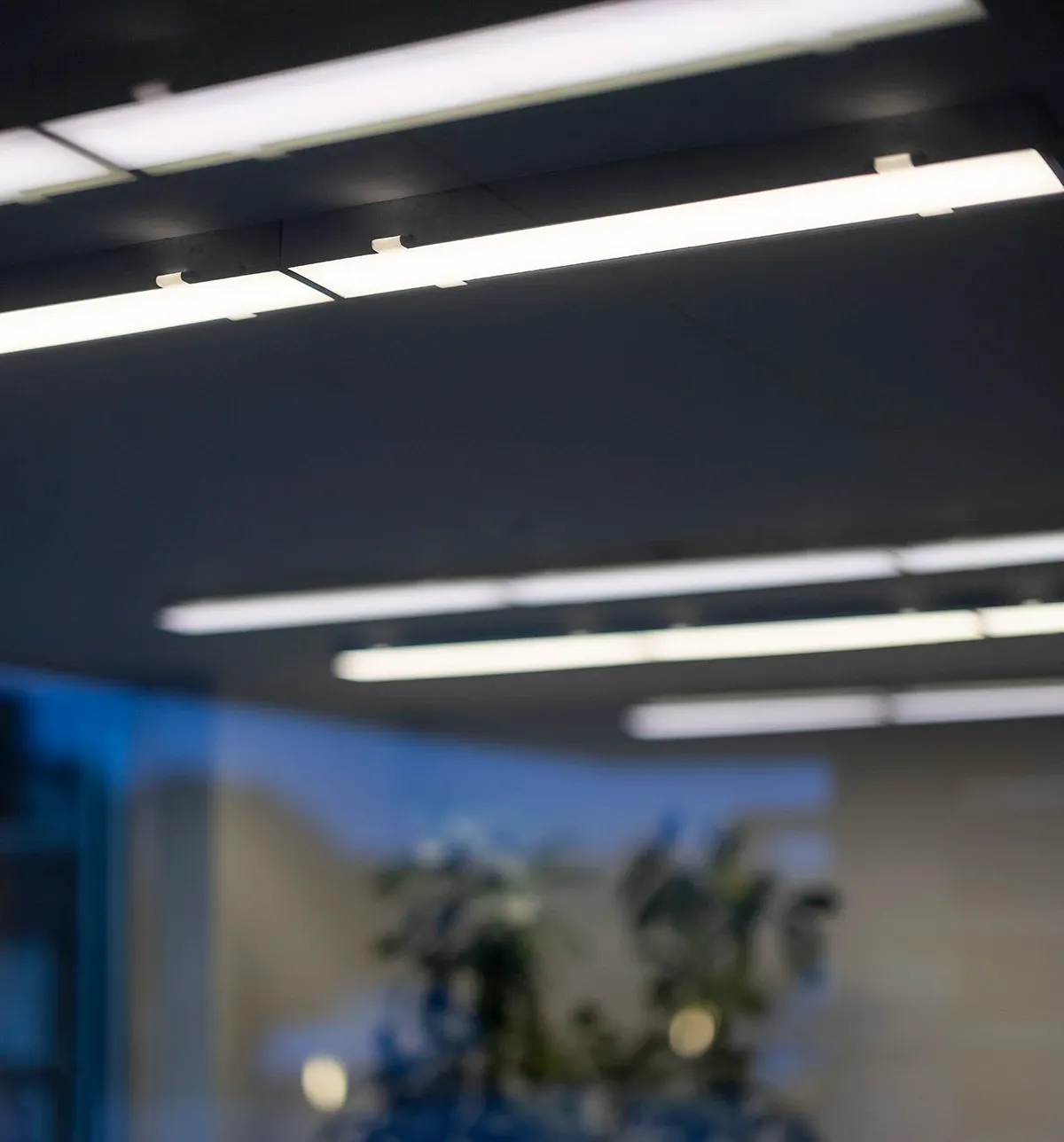 Aflang loftlampe OWEN L801