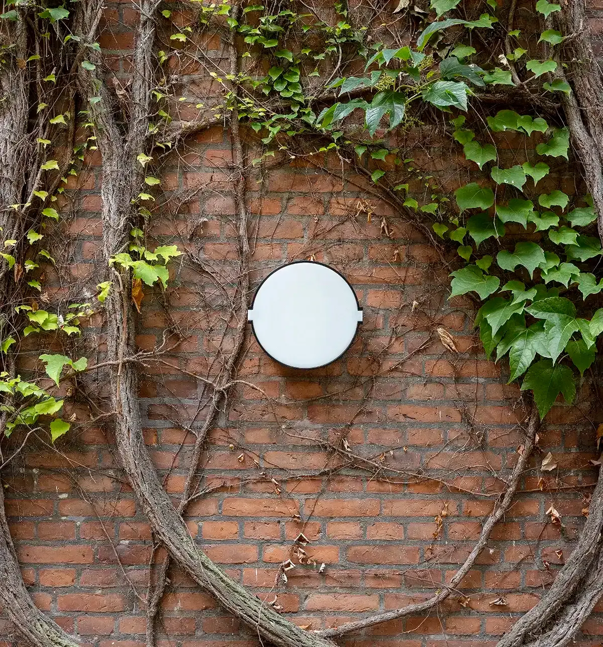 Rund væglampe udendørs OWEN L800U