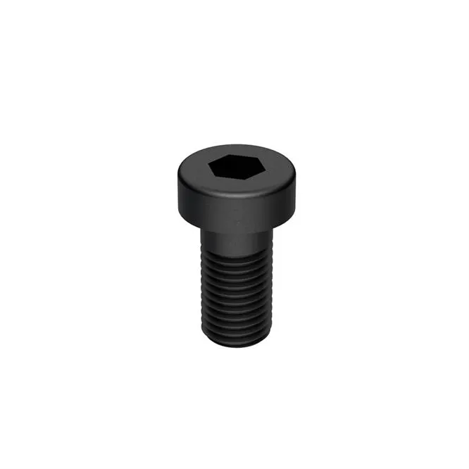 SOLIDBolt sealing screw for closing the