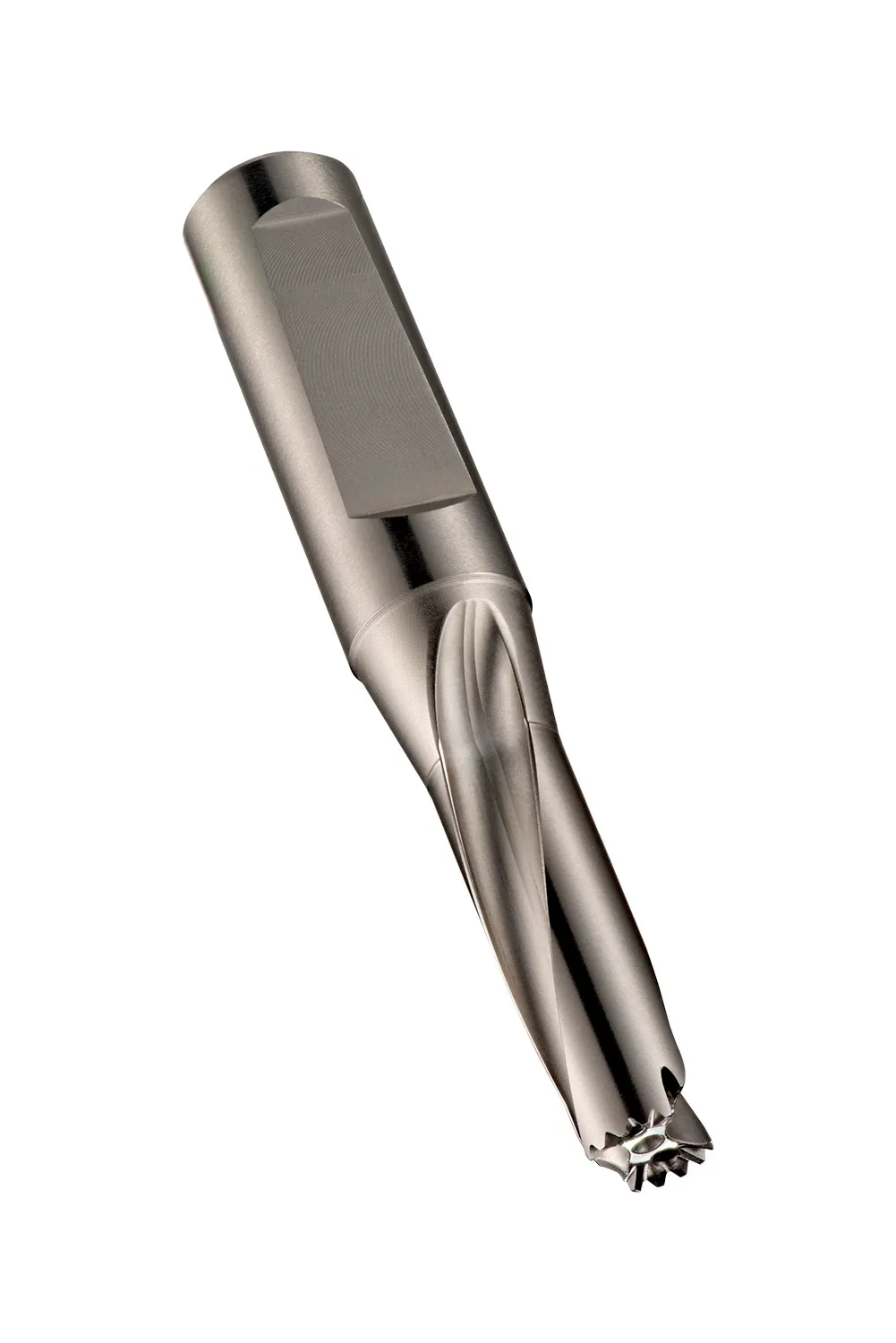 Hydra Body 3 x D
